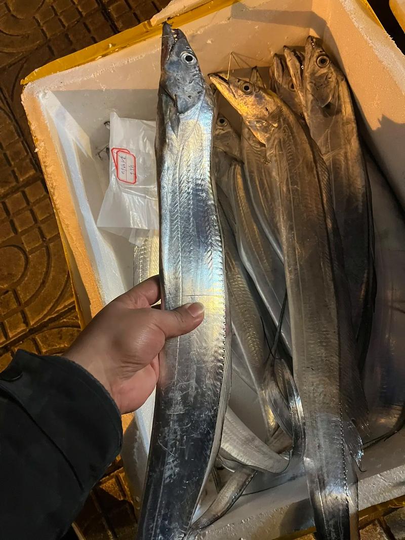 台州市椒江褚记食用农产品店在抖音记录美好生活20230312